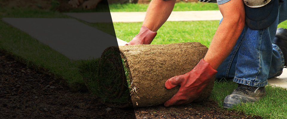 Walnut Ridge Landscapers
